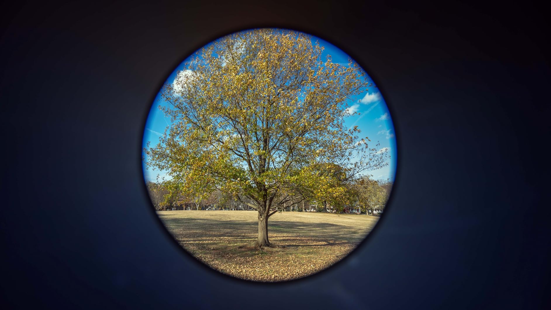 VILTROX 28mm F1.8 FE Full Frame for Sony E, Auto Focus Wide-Angle Prime Lens for Sony E-Mount Camera customer photo 1
