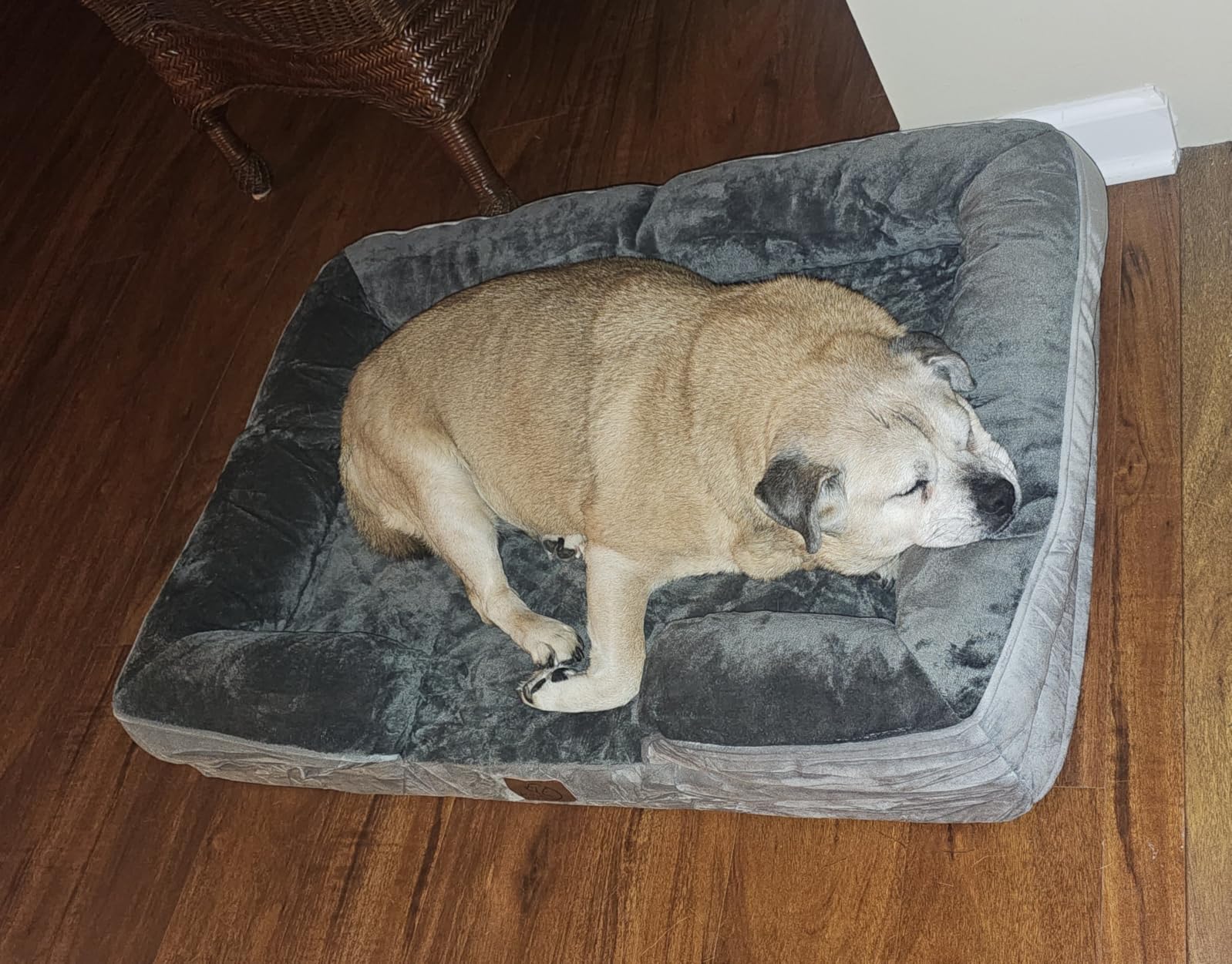 Bedsure Orthopedic XL Dog Bed Extra Large Washable Original Design customer photo 1