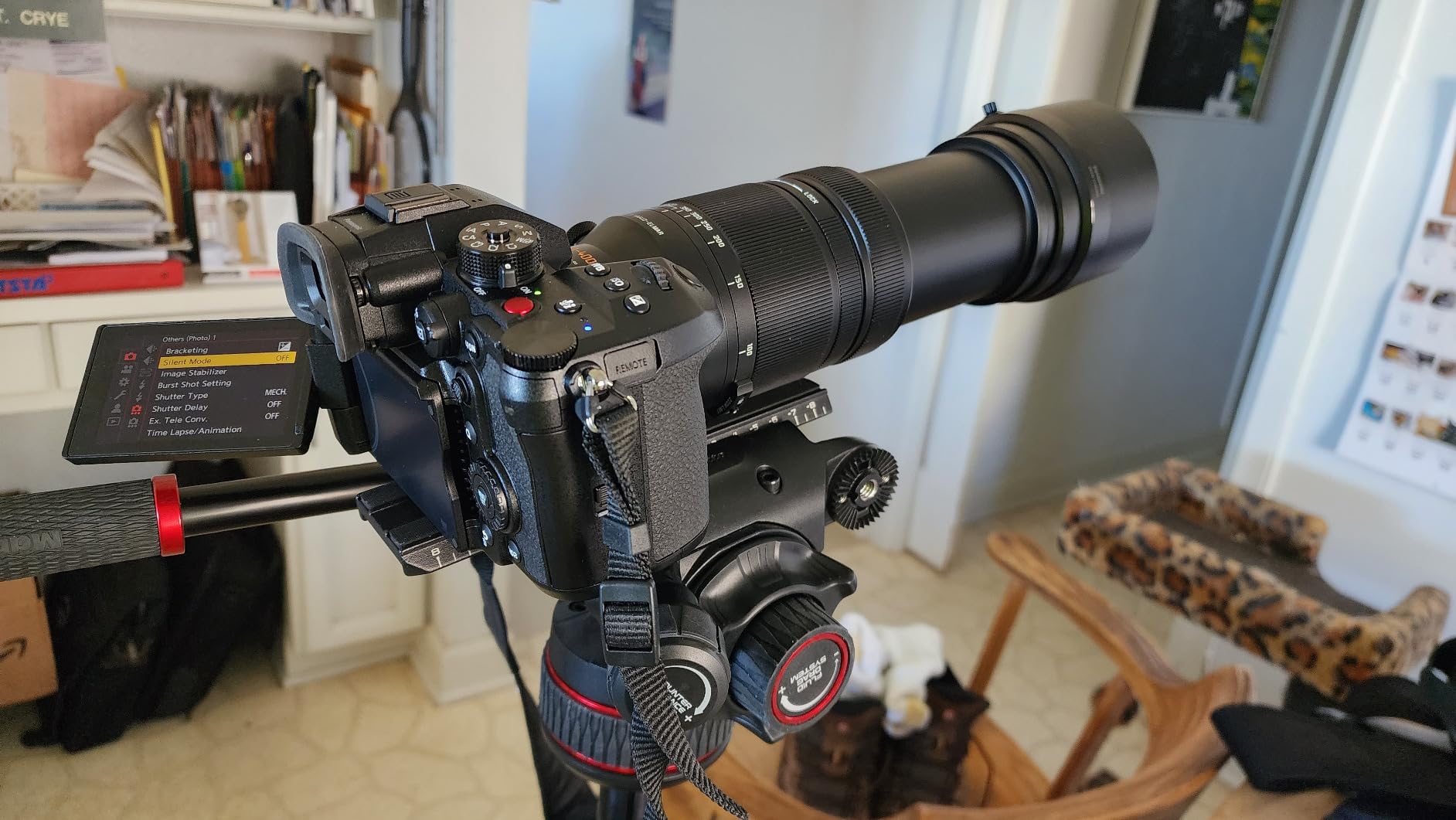 Panasonic LUMIX Micro Four Thirds Camera Lens, Leica DG Vario-Elmar 100-400mm, F4.0-6.3 II ASPH., Power O.I.S. - H-RSA100400 customer photo 2