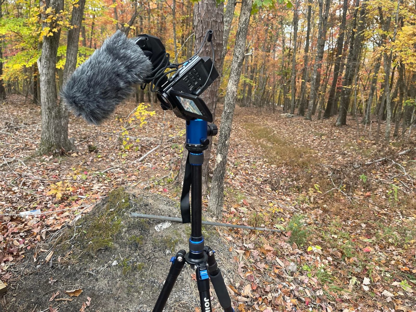 80/85 inches Heavy Duty Tripod for Camera Phone, 85