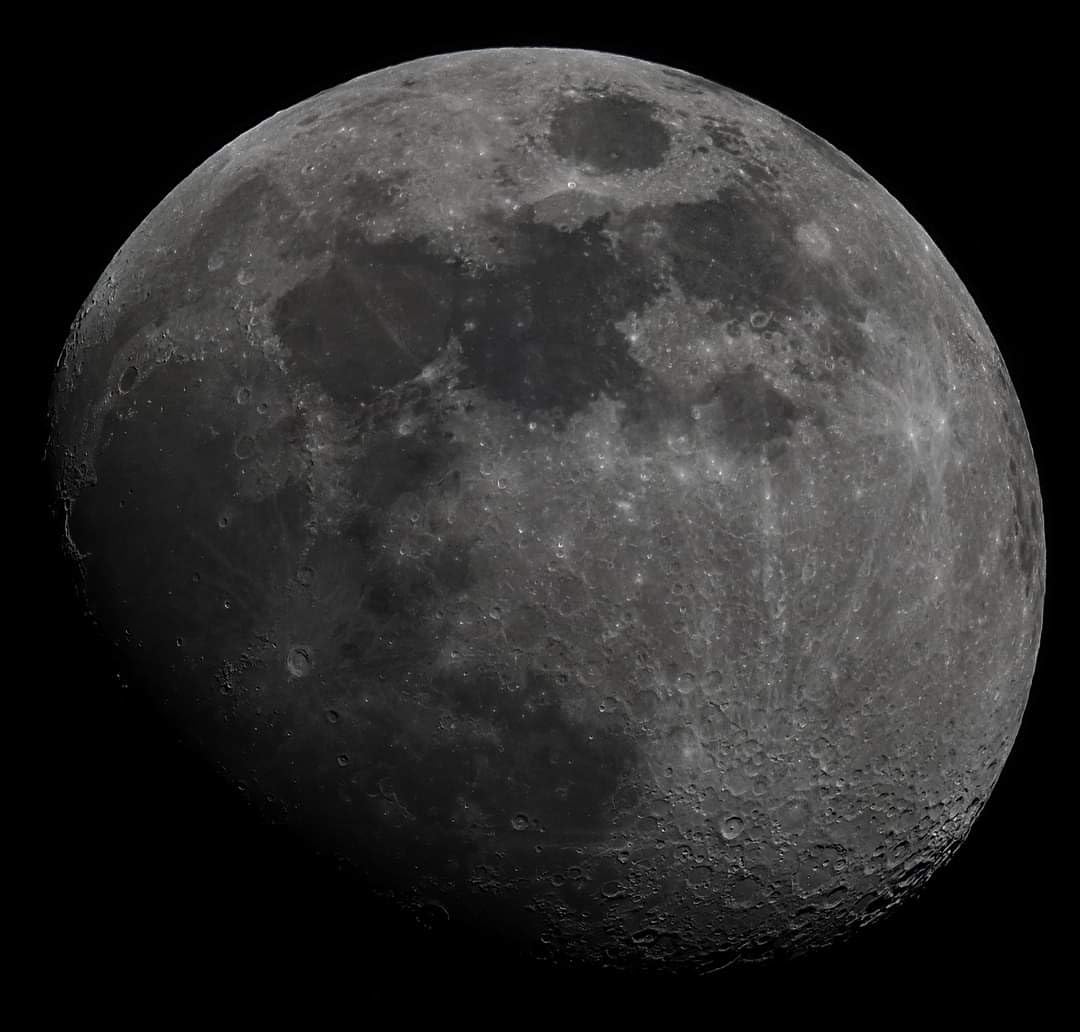 OM SYSTEM Olympus M.Zuiko Digital ED 150-600mm F5.0-6.3 is for Micro Four Thirds System Camera, Outdoor Bird Wildlife, Weather Sealed Design, Telephoto Compatible with Teleconverter customer photo 1
