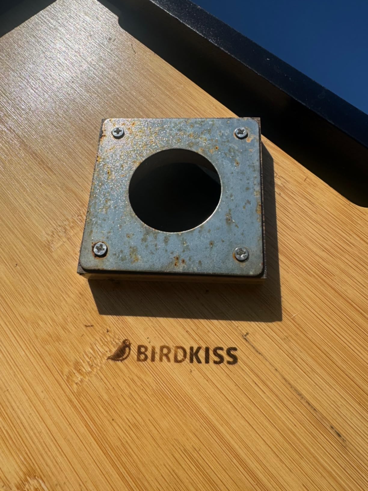 Birdkiss Smart Bird Houses for Outside Solar Powered, 1080P HD Live View Birdhouse with Camera, Perfect Viewing Bird Nesting and Hatching, Ideal Outdoors Bird House for Blue Bird and Cardinal (Green) customer photo 2