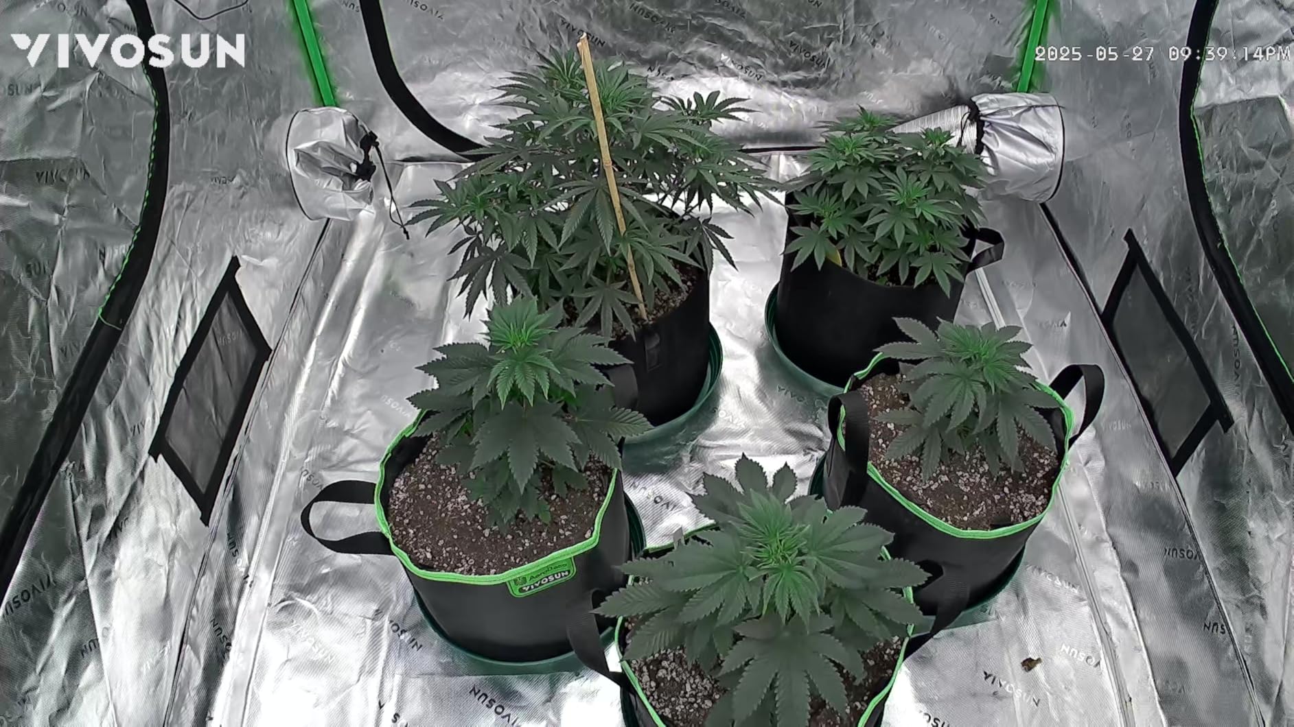 VIVOSUN GrowCam C4, 2K QHD WiFi Smart Camera for Grow Tent & Smart Grow Box | Supports 2.4GHz WiFi, Timelapse, Night Vision, 2-Way Audio, App Control customer photo 2