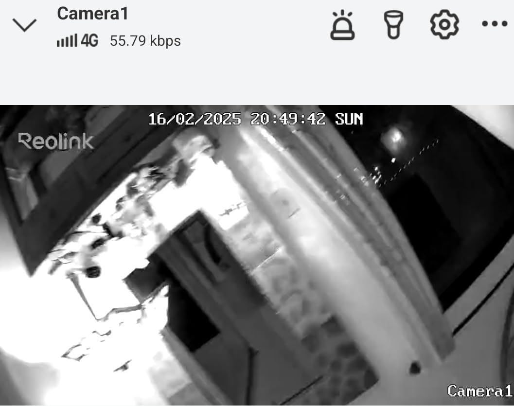 REOLINK 2K+ 4G LTE Cellular Security Camera Wireless Outdoor, Solar Camera | SIM + 32GB SD Card Included, No WiFi Needed, 360° Pan-Tilt, Color Night Vision, Smart AI Detection, Non-Stop Solar Powered customer photo 2