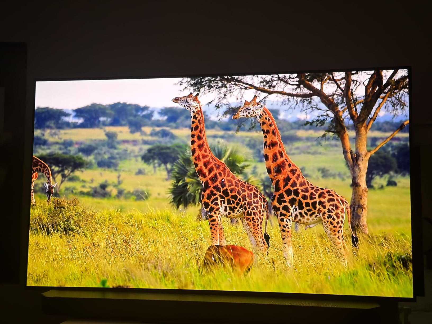 Samsung 65-Inch Class OLED S90F 4K Smart TV (2025 Model) NQ4 AI Gen3 Processor Upscaling Pro HDR +, Motion Xcelerator 144Hz, Vision Alexa Built-in customer photo 1