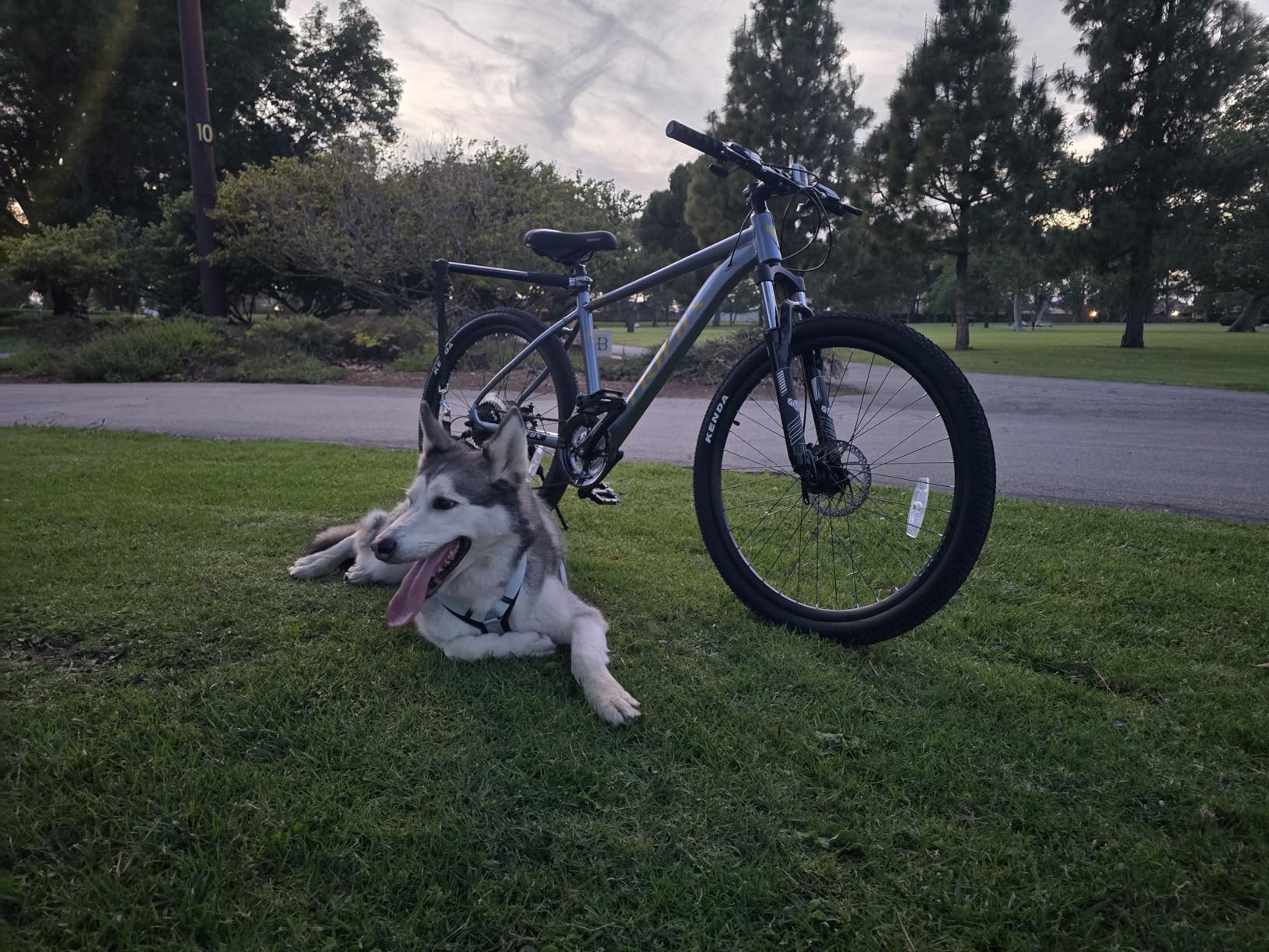 TRIFOX 26 Inch Aluminum Mountain Bike with Shimano 21-Speed,Aircraft-Grade Aluminum Frame,Dual Disc Brakes,15/17 Inch Internal Cable Routing Frame for Men Women Boys Girls customer photo 2