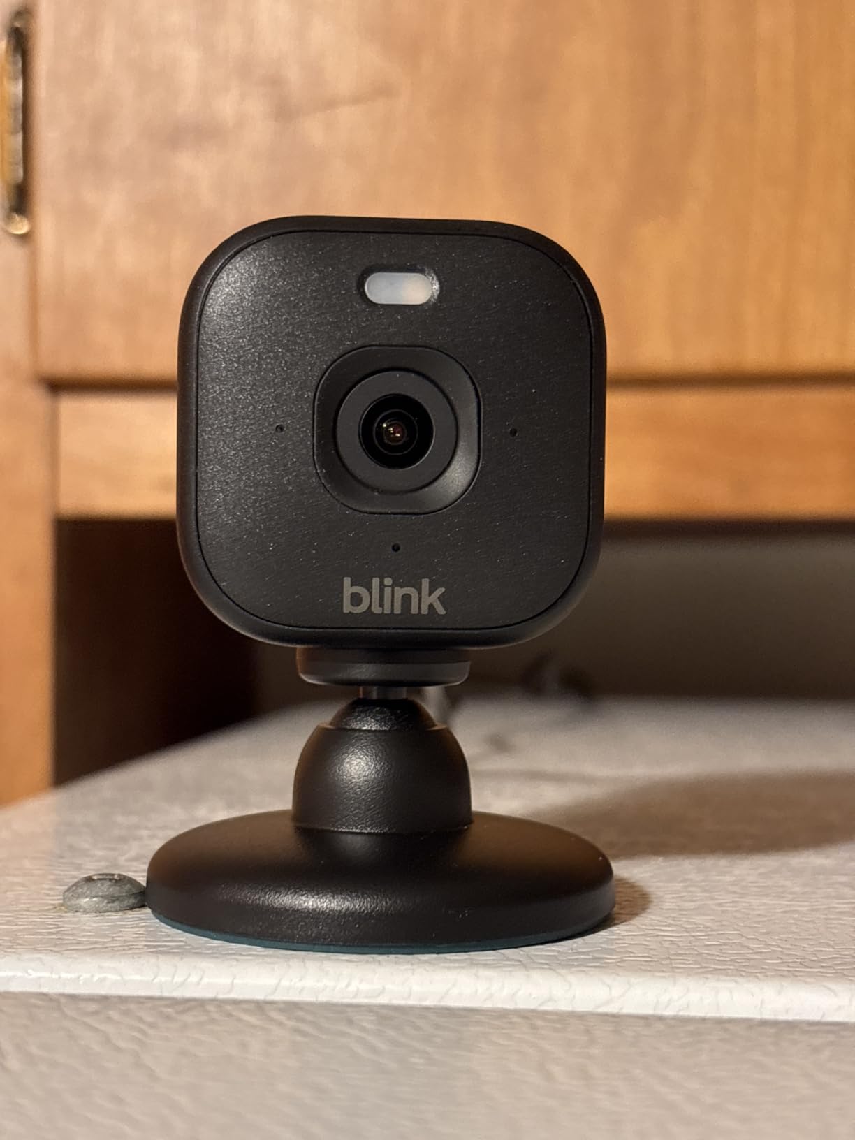 Blink Mini 2K+ (newest model) - Plug-in Home & Pet Indoor Security Camera with 2K video resolution, night vision, enhanced audio, motion detection - 2 cameras (White) customer photo 2