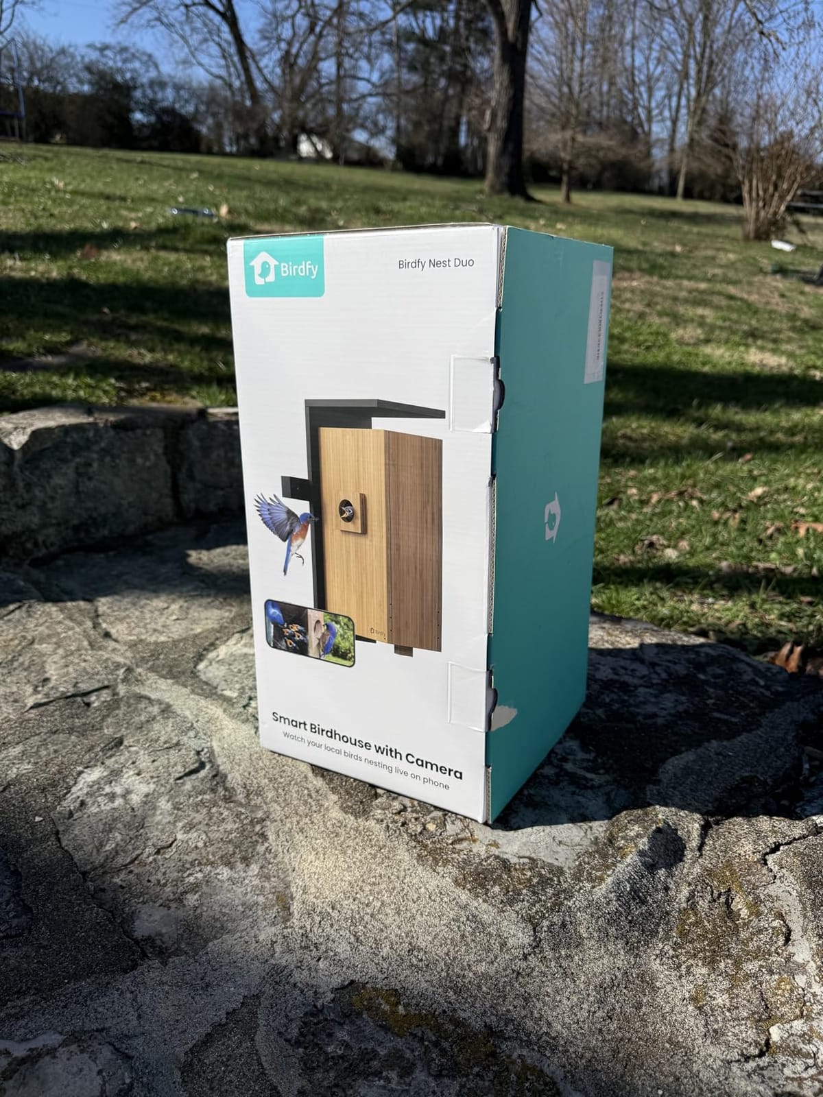 Birdfy Smart Bird House with Dual 1080P Cameras, Lifetime Free AI Bird ID | Solar Powered, Remote Control, Bamboo Bird Nest for Garden & Bird Lovers, Watch Robin Nesting Story in Realtime, DIY Gift customer photo 2