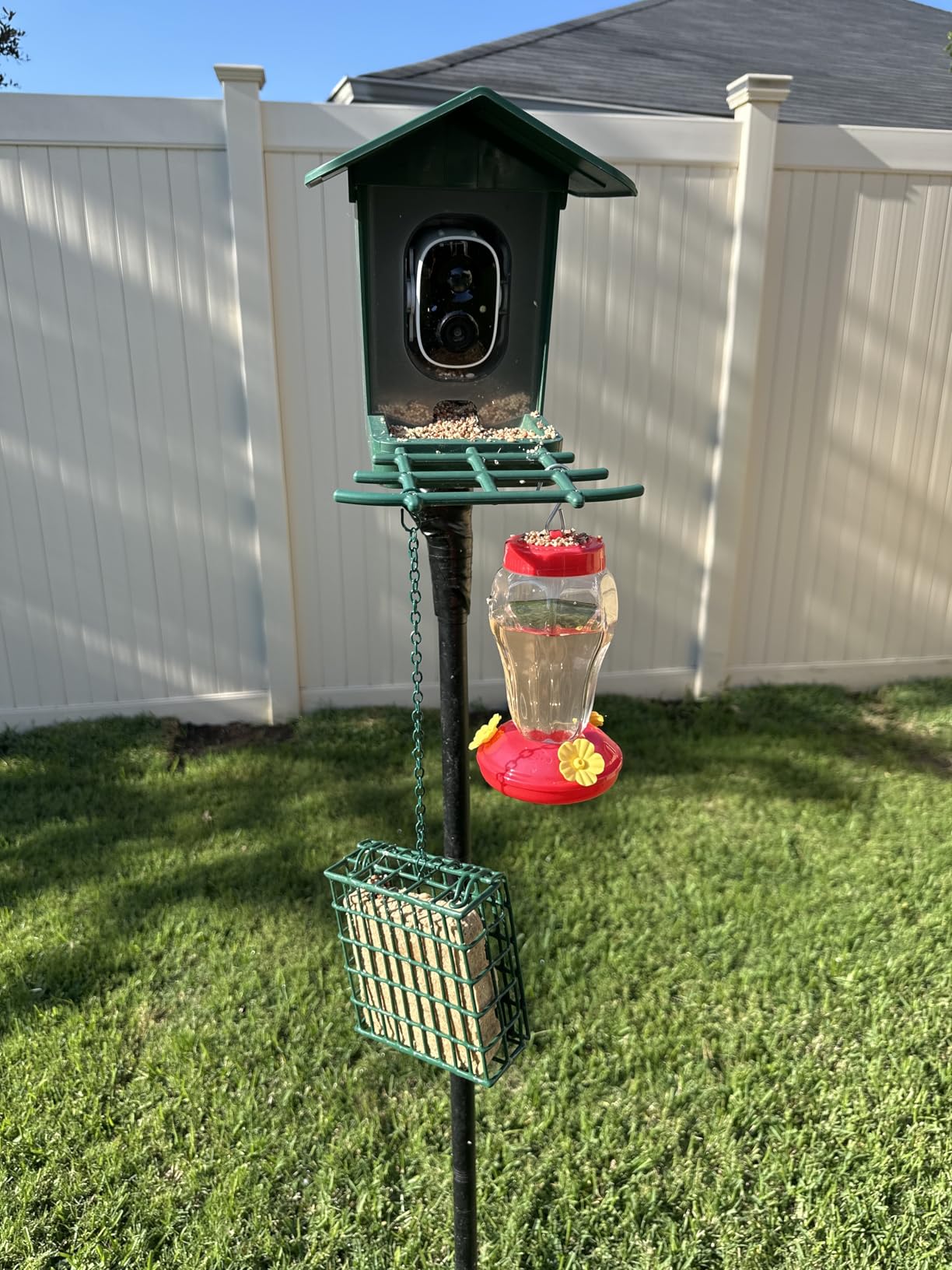PeckCam Bird Feeder with Camera Solar Powered 2K Live Video Auto Capture customer photo 1