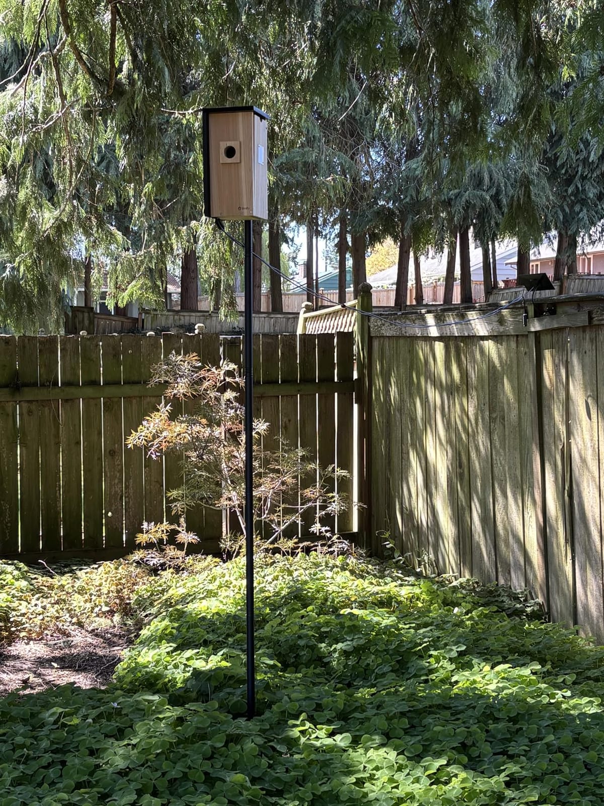 Birdfy Bird House with Camera & Metal Cladding, Lifetime Free AI Bird ID | Remote Control & Solar Powered, 1080P FHD & Night Vision, Fits Bluebirds/Finches/Wrens/Chickadees, Great Gift for Bird Lovers customer photo 1