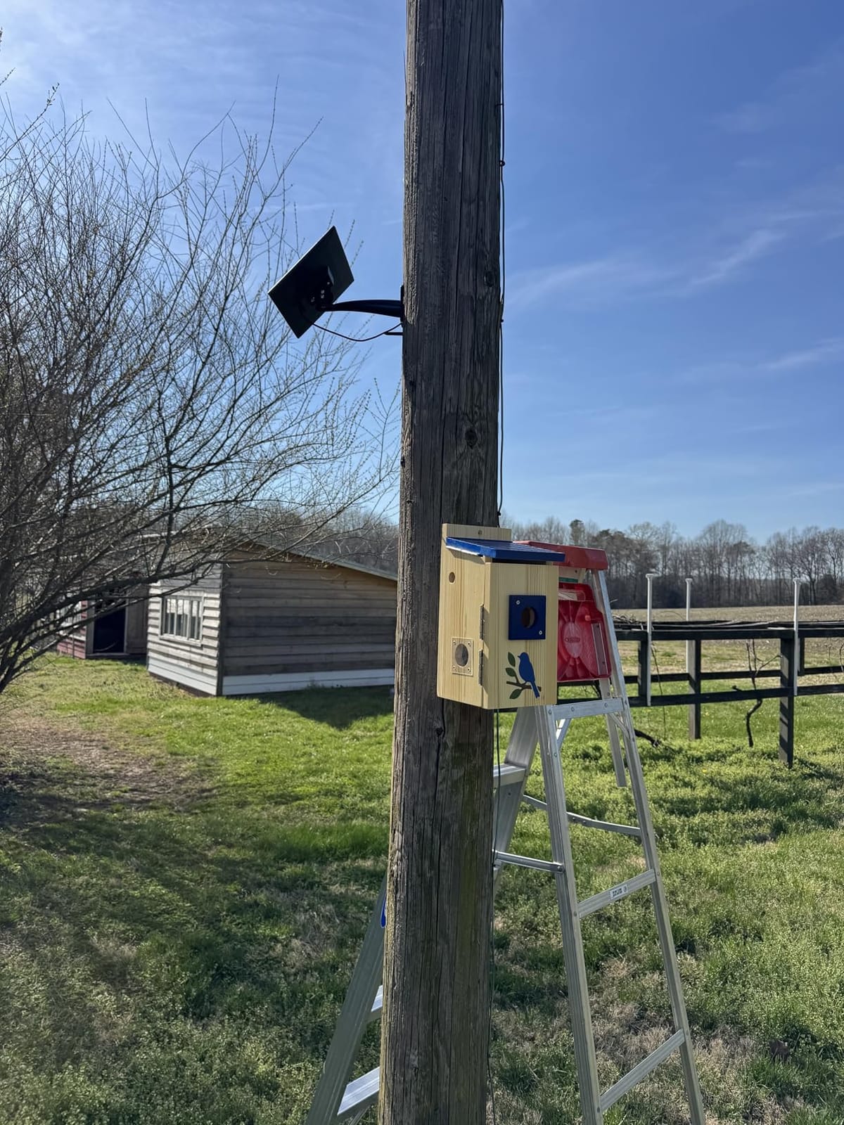 Smart Bird House with Camera Solar Powered, Bird-Safe Varnish | Isolated Camera Bay, 2K HD Pinewood Birdhouse with Camera Inside, Smart Bird Nest Box, Auto Detection for Backyard Birdwatching customer photo 1