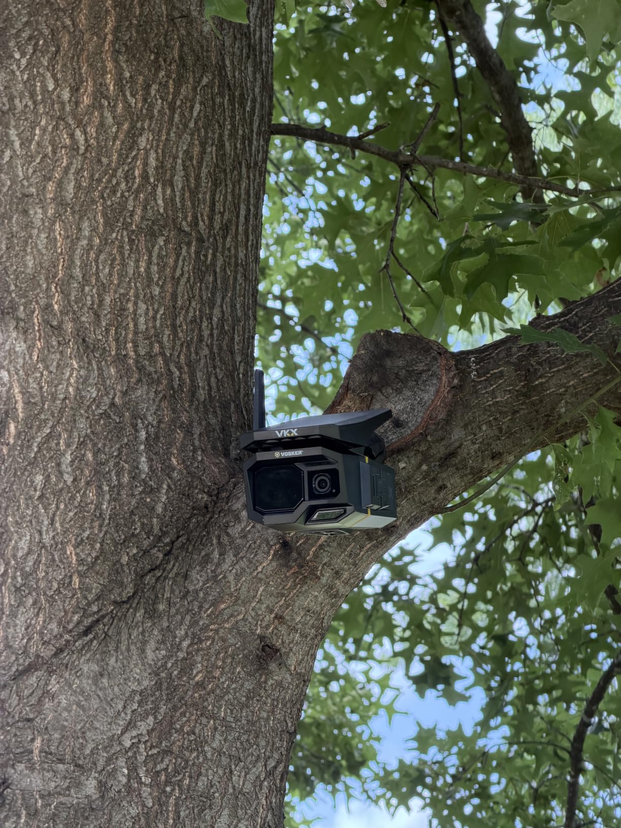 Vosker VKX Solar Powered 4G-LTE Outdoor Cellular Security Camera - No WiFi Needed, Motion Activated, Night Vision, SIM Card Included, IP65 Weather-Resistant, Photos & 15s Video Requests customer photo 1