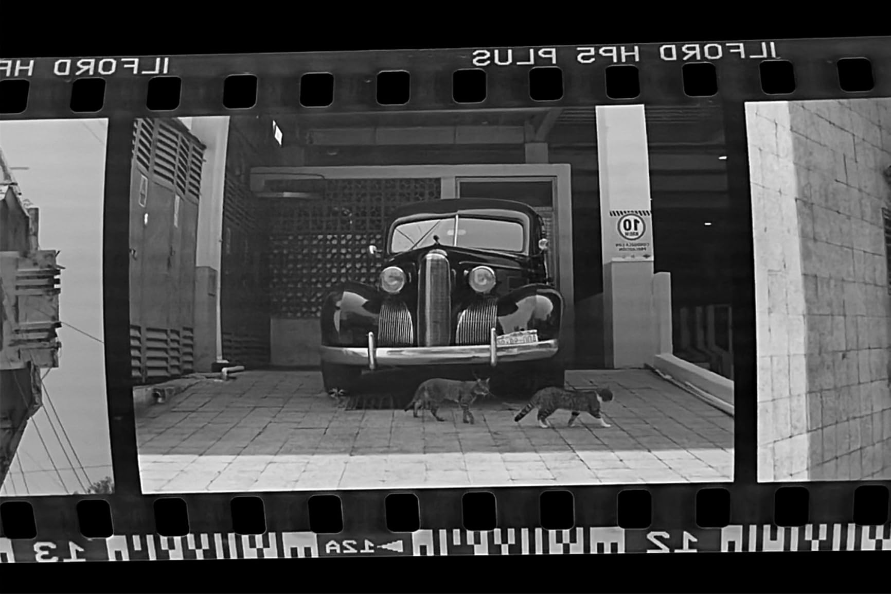 Compact 35mm Film Developing Tank & Kit, No Dark Bag Needed, 135 Film Darkroom Equipment with Magnetic Clips customer photo 1