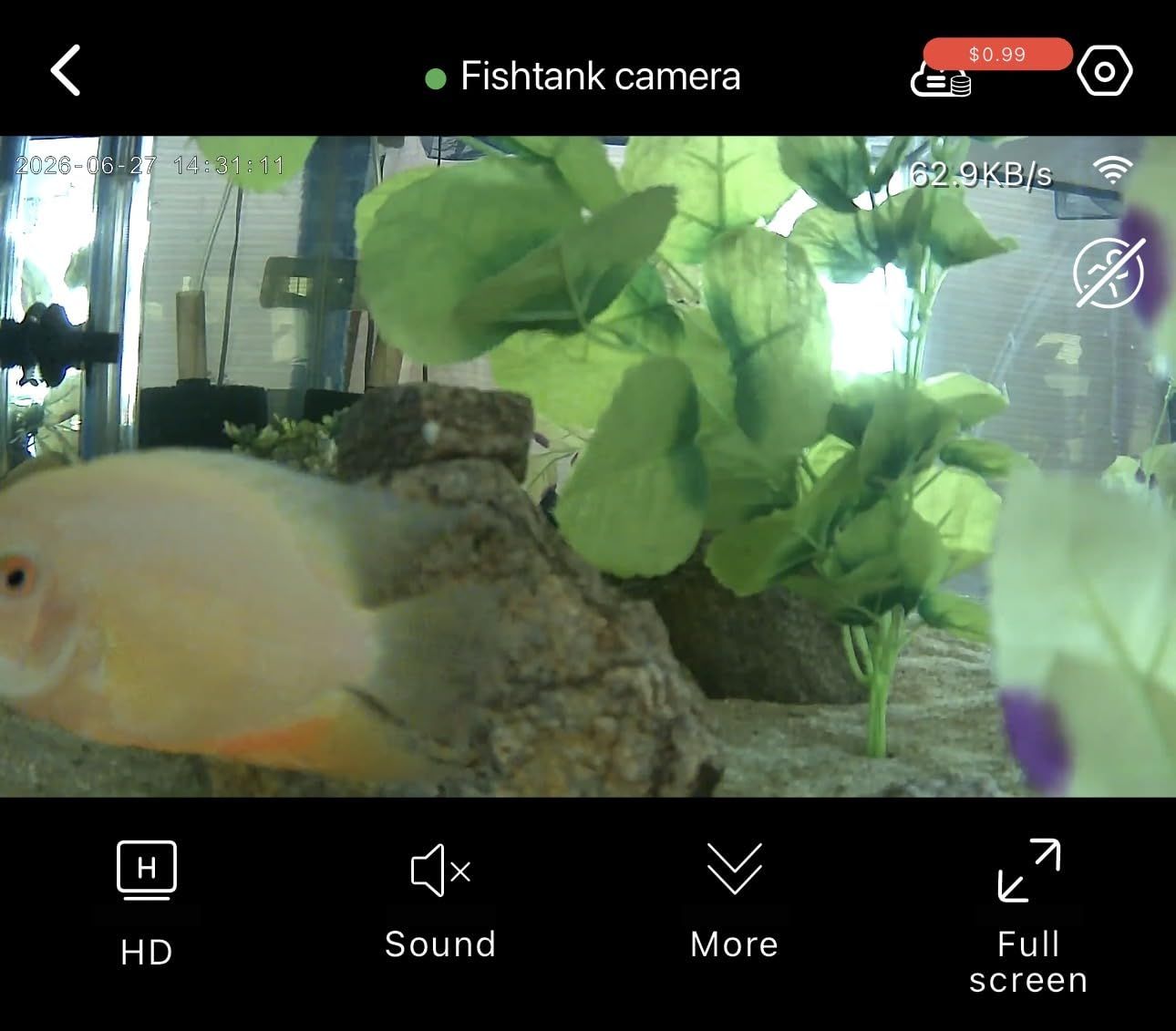 2026 Upgraded 2K Aquarium & Terrarium Pet Camera, Close-Focus Lens for Fish, Lizard & Reptiles, Easy Install, 5GHz Dual-Band WiFi, 24/7 Full Color Night Vision, Loop Recording, Motion Detection customer photo 1