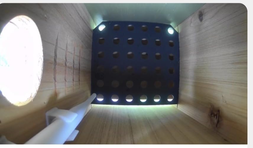 Birdfy Bird House with Camera Solar Powered with Metal Cladding for Outside | Bird Box with AI Bird ID, 1080P FHD & Night Vision for Bird Nest Watching, Auto Detect & Notify, Ideal Gift for Bird Lovers customer photo 1