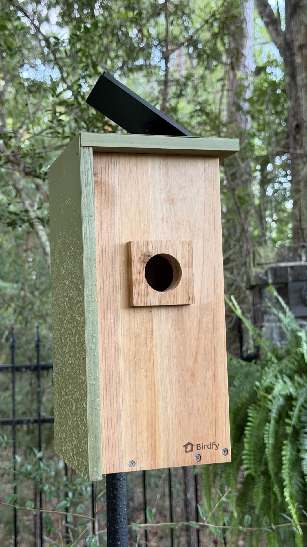 Birdfy Bird House with Camera Solar Powered with Metal Cladding for Outside | Bird Box with AI Bird ID, 1080P FHD & Night Vision for Bird Nest Watching, Auto Detect & Notify, Ideal Gift for Bird Lovers customer photo 2