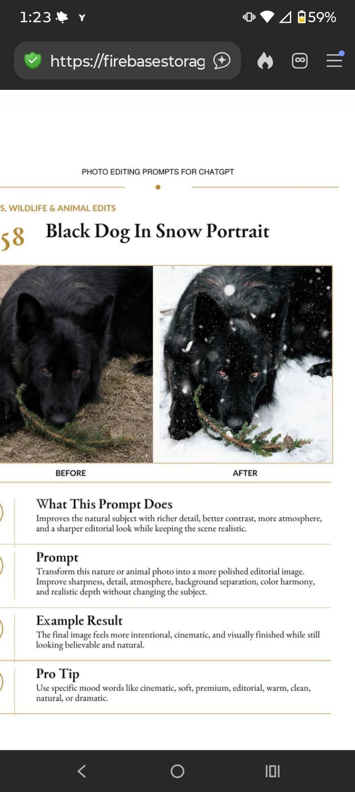 Photo Editing Prompts For ChatGPT: 125 Ready-to-Use AI Prompts for Lightroom, Photoshop & Mobile Editing - Save Time, Boost Creativity, and Master Photo Retouching with ChatGPT (Ai Prompting Guide) customer photo 2