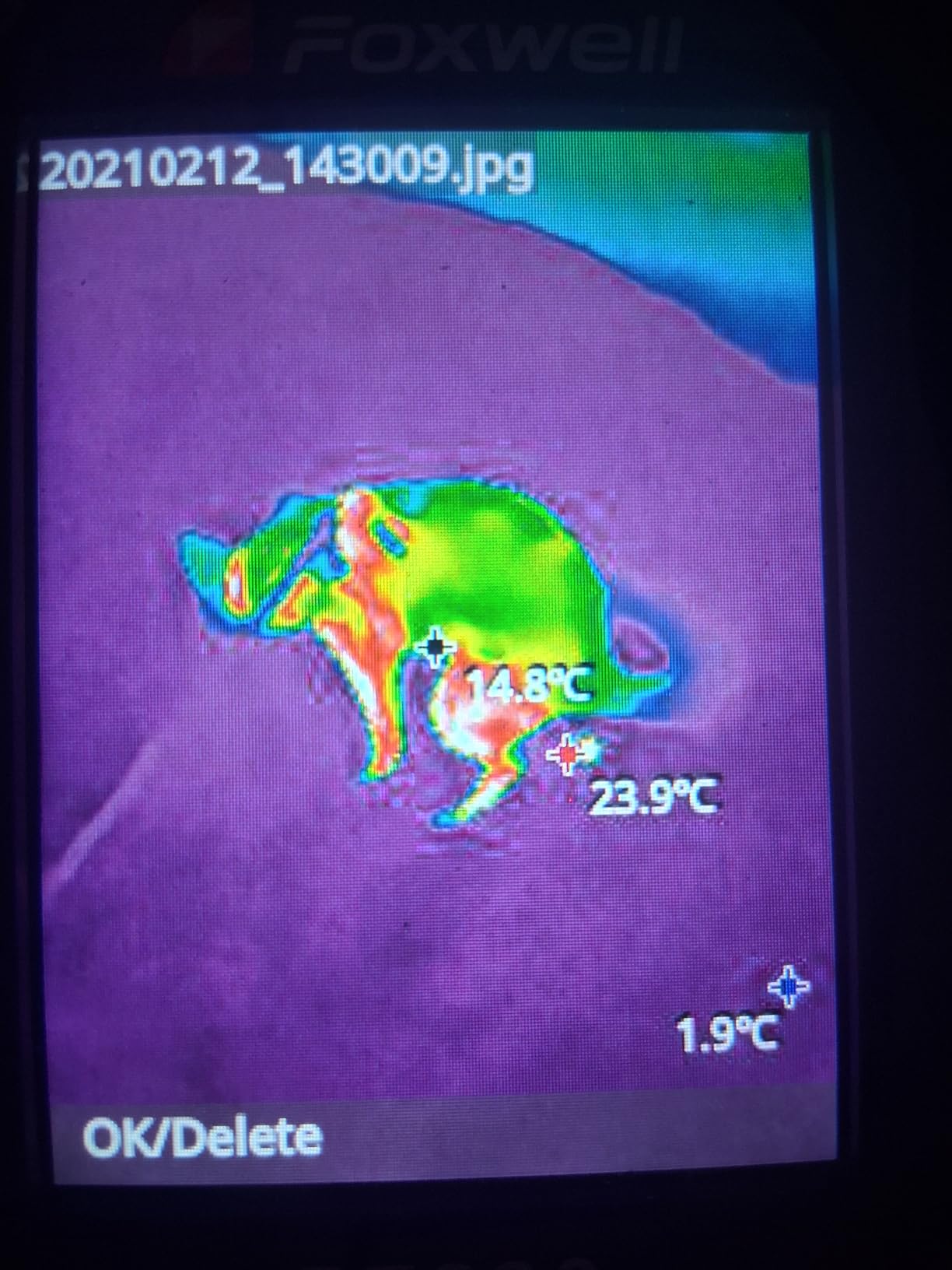 FOXWELL HT280 Thermal Imaging Camera, 320 X 240 2.8