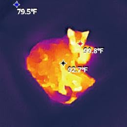 FOXWELL HT280 Thermal Imaging Camera, 320 X 240 2.8