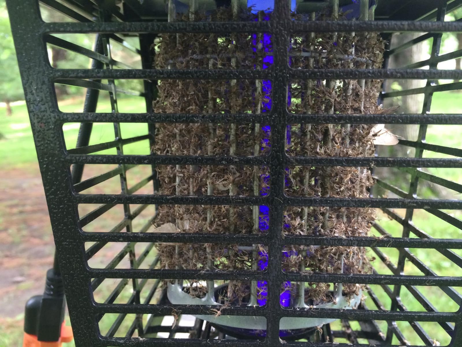 Flowtron Electric Bug Zapper, 1/2 Acre Outdoor, 15W UV, 5600V Zap, Black customer photo 1