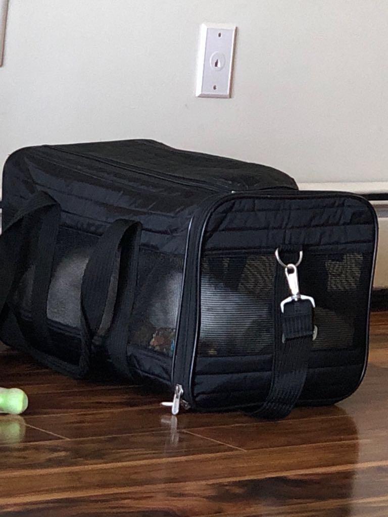 Sherpa Original Deluxe Travel Pet Carrier, Airline Approved & Guaranteed On Board - Black, Medium customer photo 1