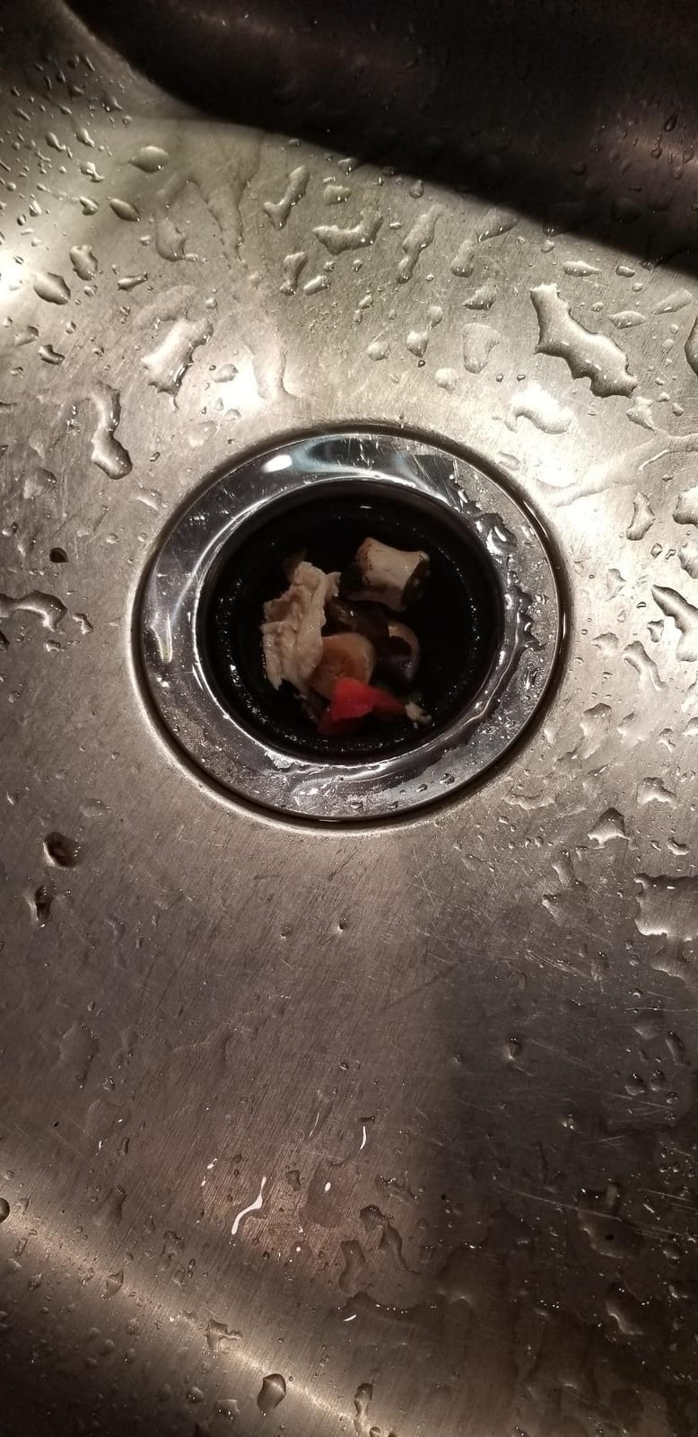 TITAN 10-US-TN-1060-3B Torque Garbage Disposal System with Stainless Steel Impellers & Griding Components, Black (1-1/4 HP | Premium) customer photo 1