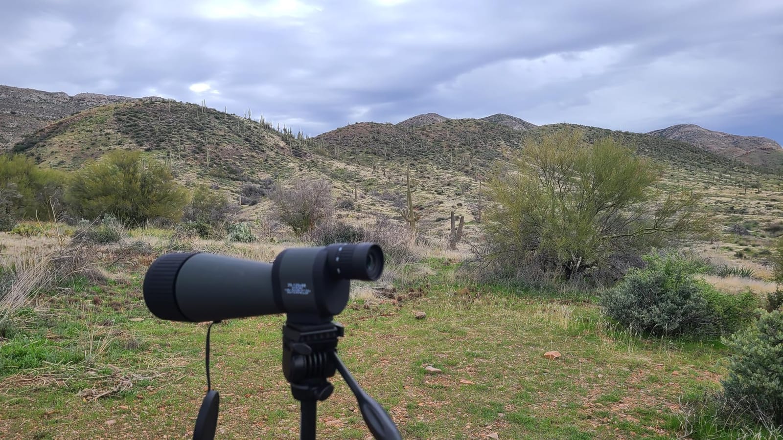 Barska Benchmark Waterproof Straight Spotting Scope with High Zoom Power, Objective Focus, Carrying Case & Tripod for Hunting Birding Target Shooting customer photo 2