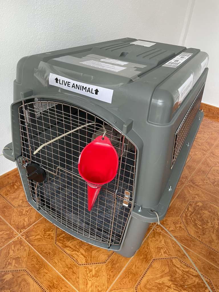 Petmate Sky Kennel, for Air Travel, 36in Dog Crate for Pets 50 to 70lbs customer photo 1