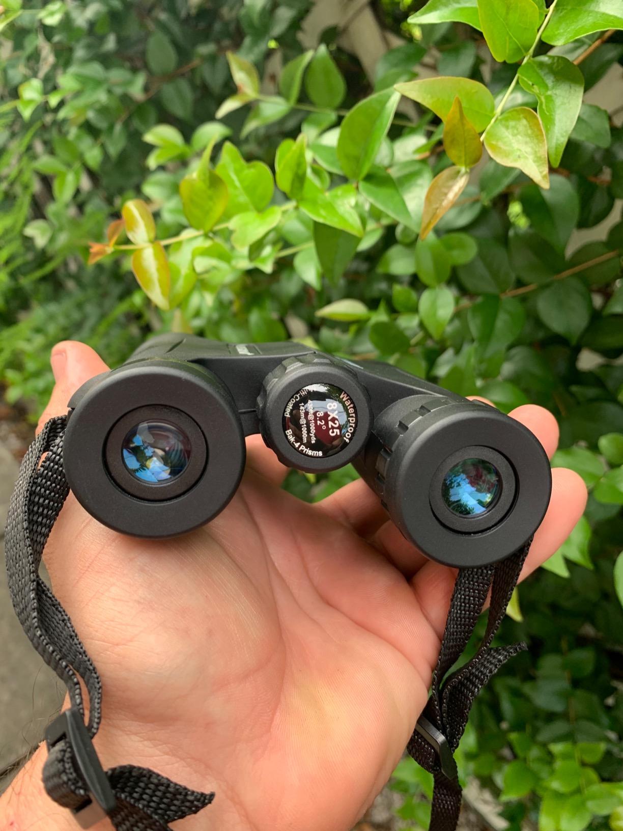 Celestron Outland X 8x25 Pocket Binoculars for Travel & Sports customer photo 1