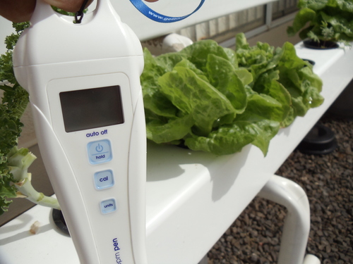 Bluelab PENCON Conductivity Pen and Digital TDS Meter, Water Tester for Temperature and Nutrient (CF, EC, PPM 500, PPM 700), TDS Testing Kit for Hydroponic System and Indoor Plant Grow customer photo 2