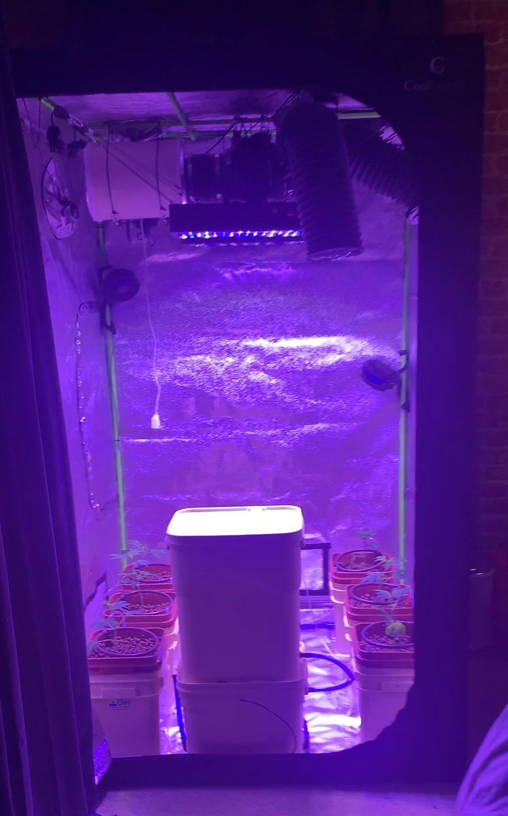 iPower GLFILT6M 6 Inch Air Carbon Filter Indoor Plants Grow Tent Odor Control Scrubber with Australia Activated C for Inline Fan, Reversible Flange, Prefilter Included, 6