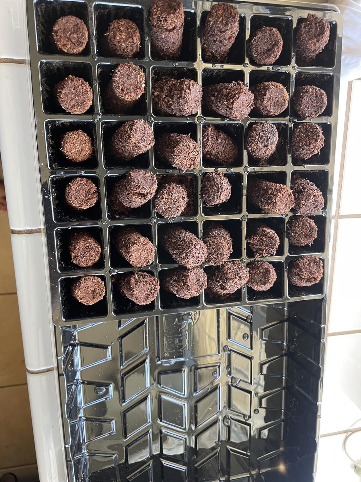 Burpee 72 Cell Seed Starting Kit with Greenhouse Dome and Coir Pellets customer photo 1