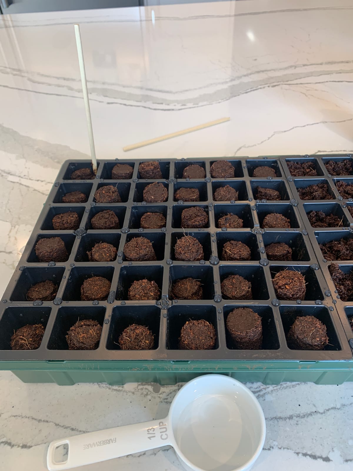 Burpee 72 Cell Seed Starting Kit with Greenhouse Dome and Coir Pellets customer photo 2