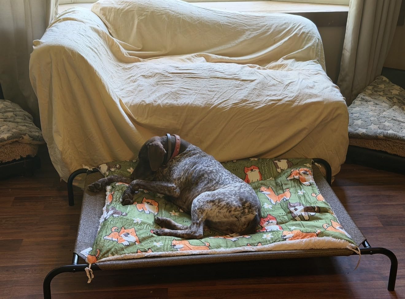 Coolaroo Original Elevated Dog Bed - Breathable Off-The-Ground Pet Bed with Cooling Fabric, Joint Relief & Moisture-Resistant Fabric, 100% Recyclable, Easy Clean, Nutmeg, Large customer photo 2