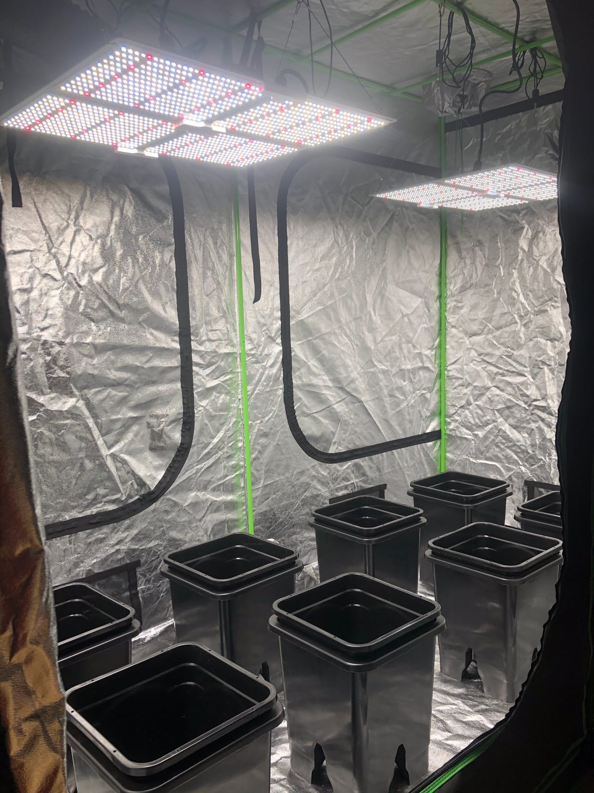 Active Aqua Ebb System - Electric Hydroponic - 7 Gal - Plastic customer photo 1