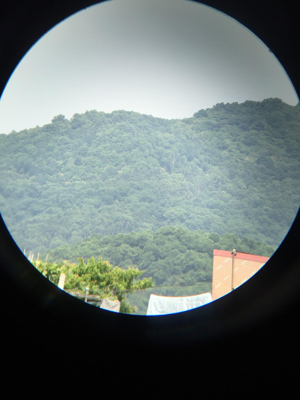 USCAMEL Compact Binoculars for Adults 8x21: Small Binoculars for Travel customer photo 2
