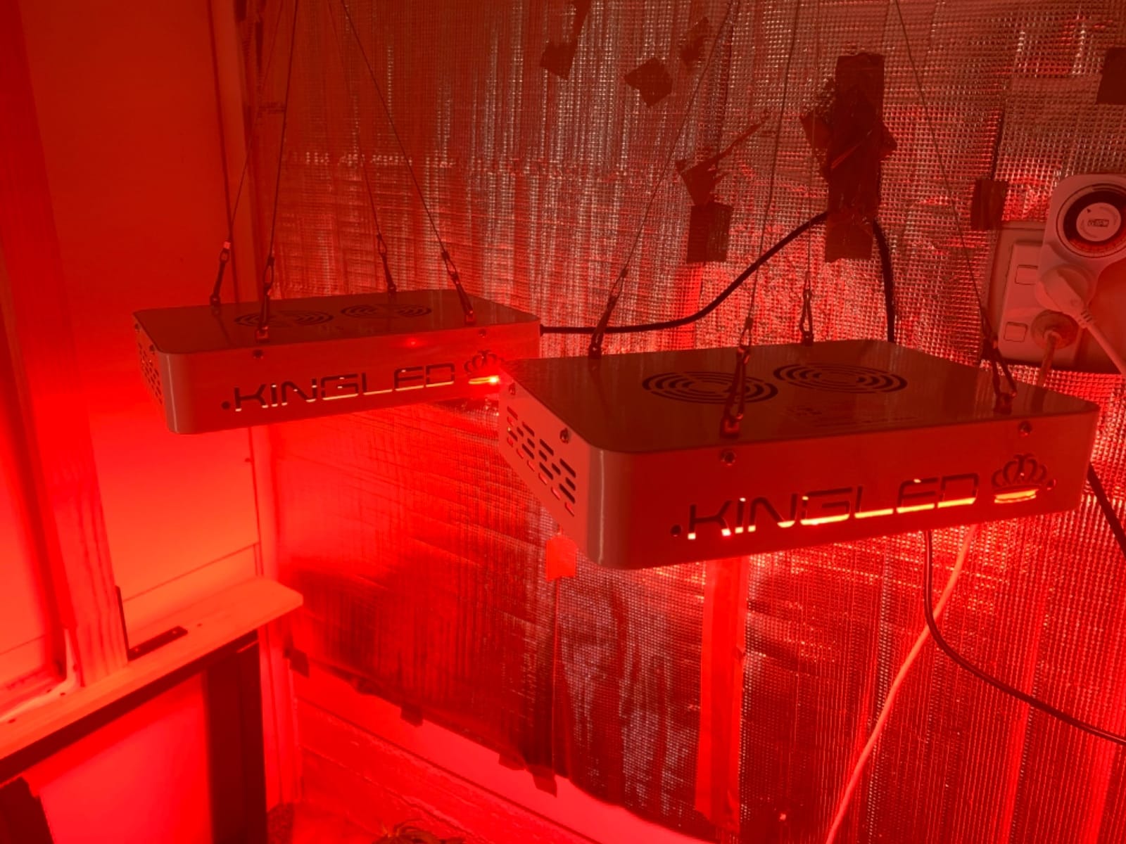 KingLED KP1000 Grow Light for Indoor Plants, Fits 2x2, 2x3 & 2x4 ft Tents customer photo 1
