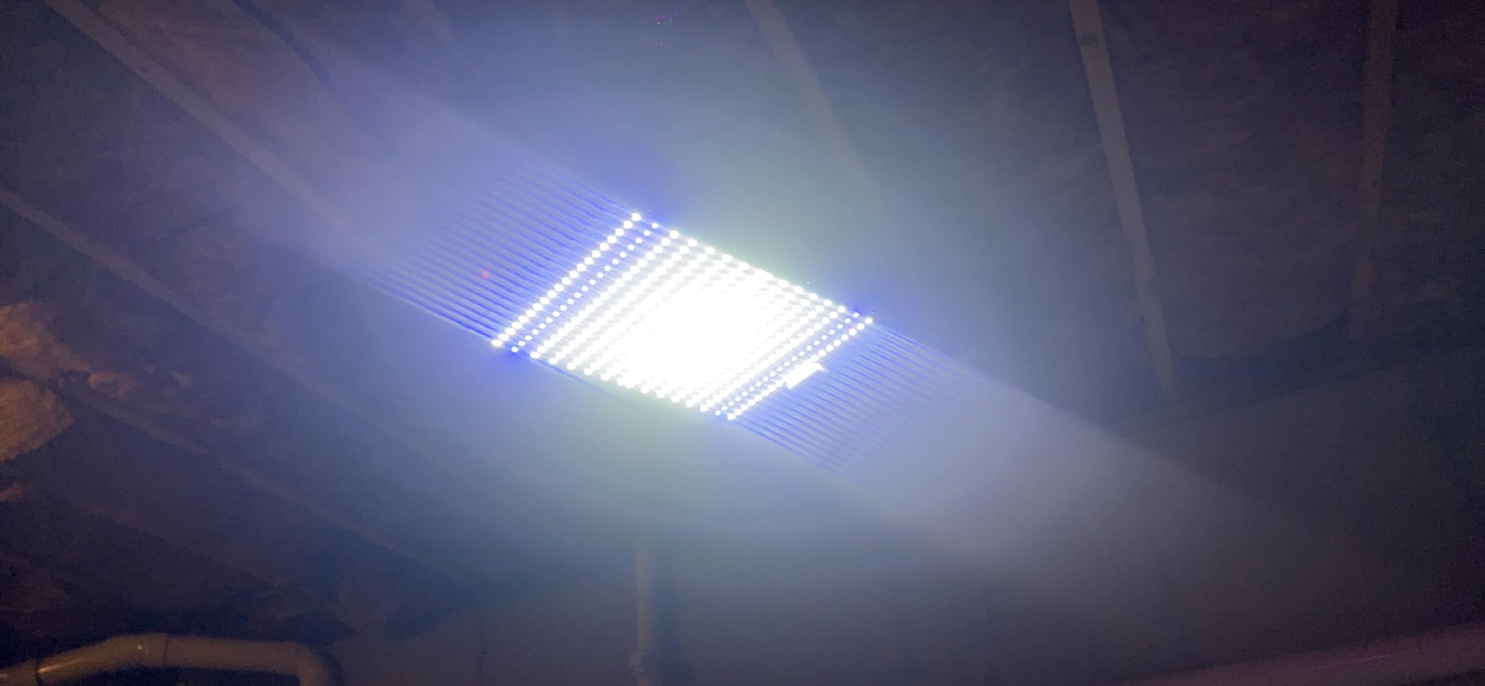 BESTVA DC1000 Grow Light for Indoor Plants, Full Spectrum LED Plant Light customer photo 1