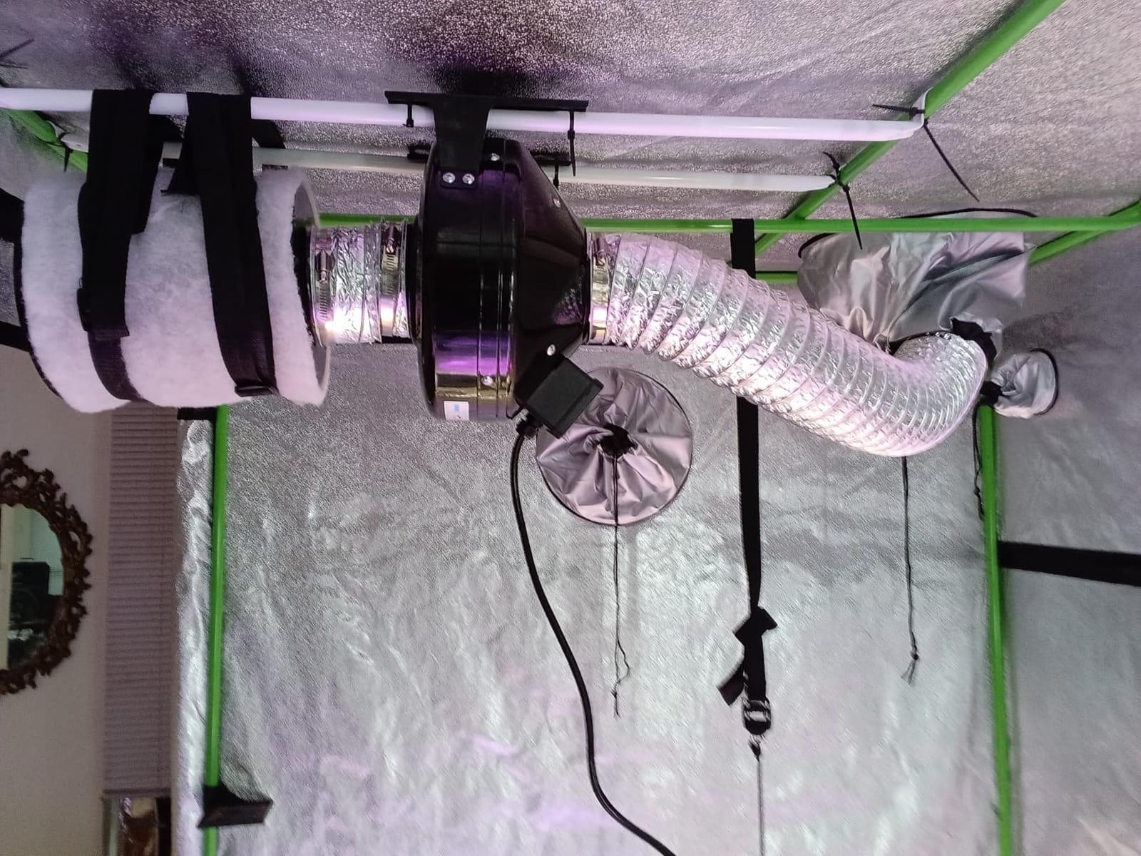Grow Tent for Indoor Plant Growing Dismountable Reflective Hydroponic Non Toxic Room (32