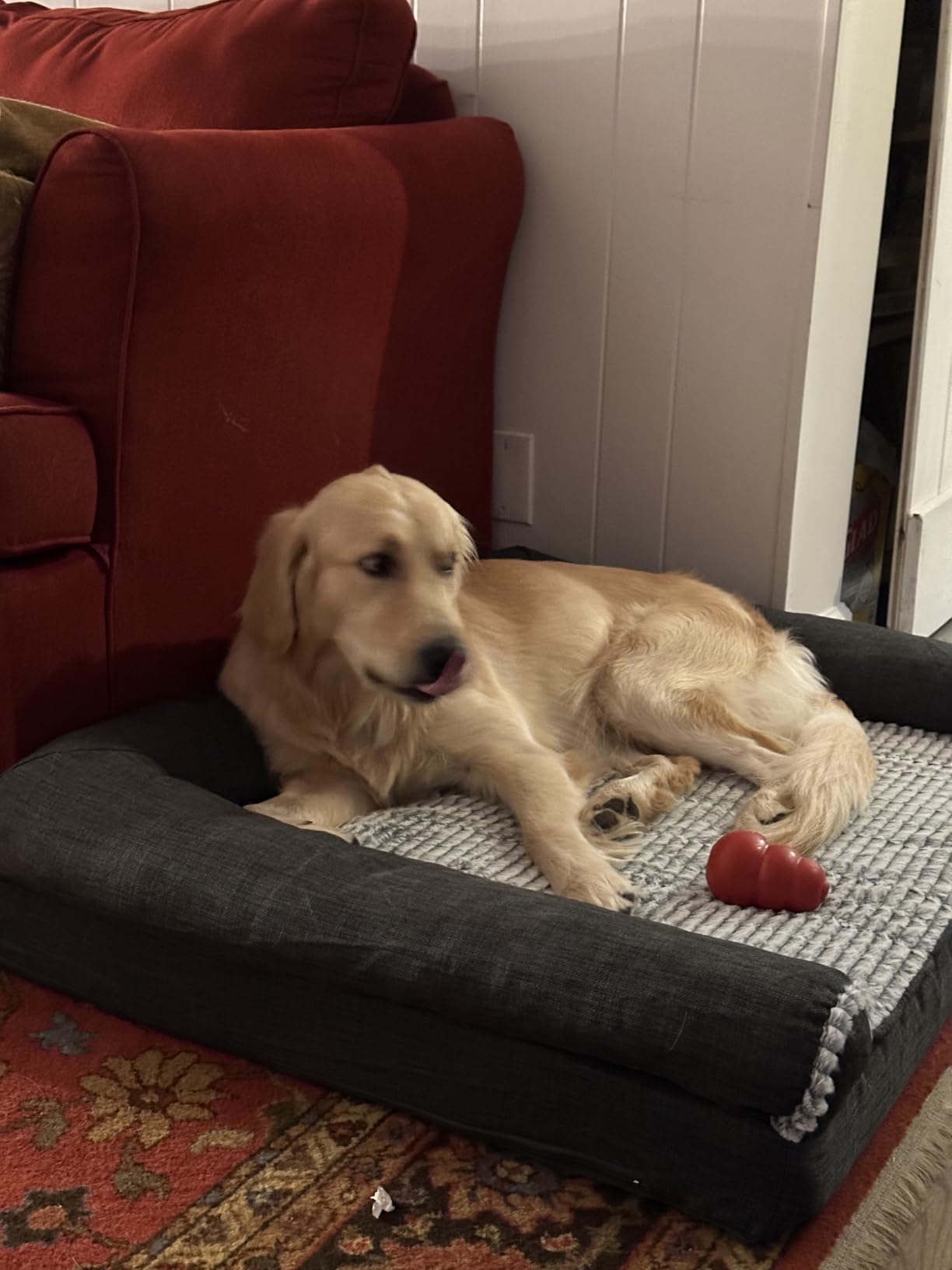 Furhaven Orthopedic Dog Bed for Medium/Small Dogs w/ Removable Bolsters & Washable Cover, For Dogs Up to 35 lbs - Plush & Suede Sofa - Gray, Medium customer photo 2