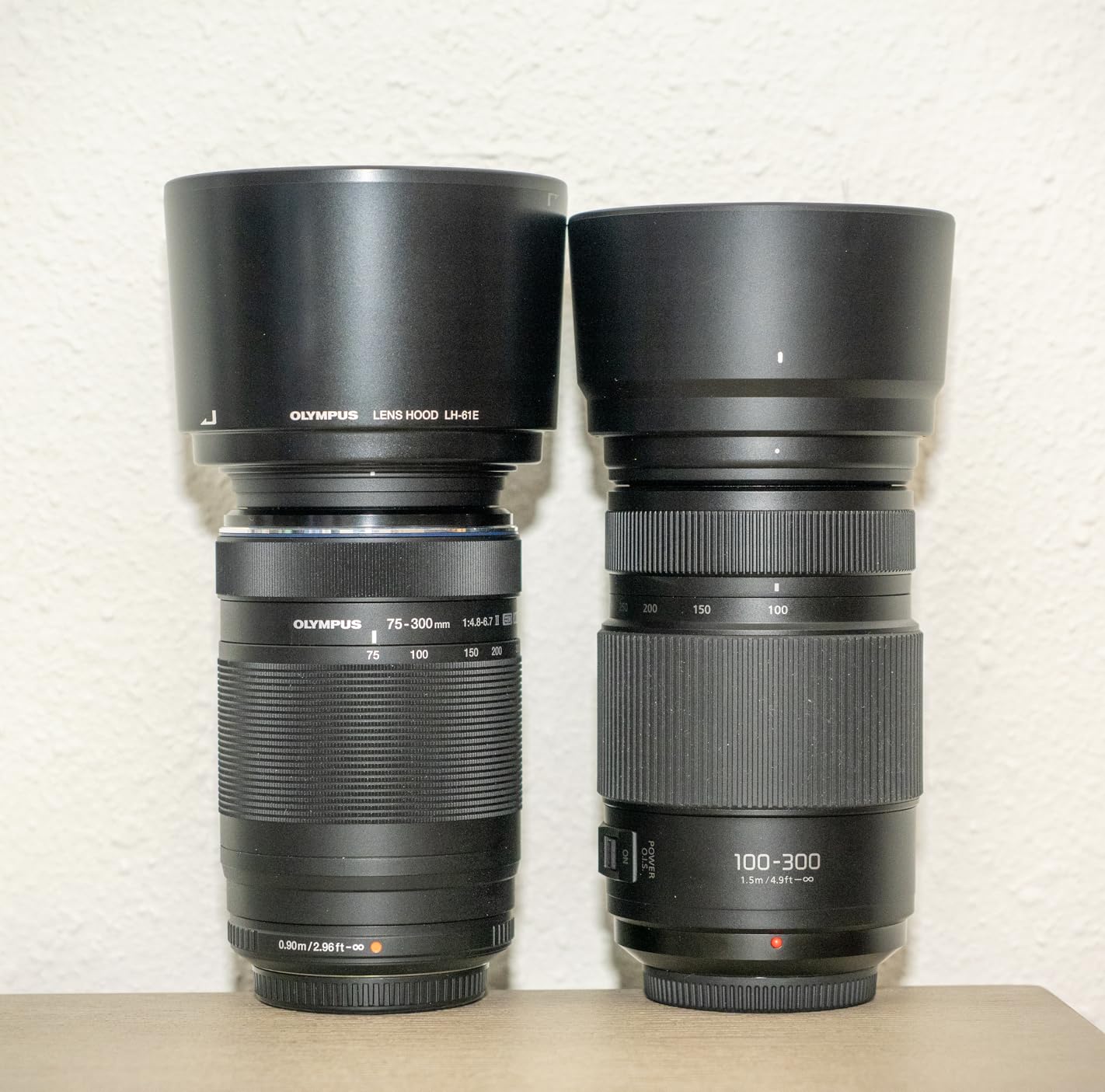Panasonic LUMIX G II Vario Lens, 100-300MM, MIRRORLESS Micro Four Thirds, Power O.I.S, H-FSA100300 (USA Black) customer photo 2