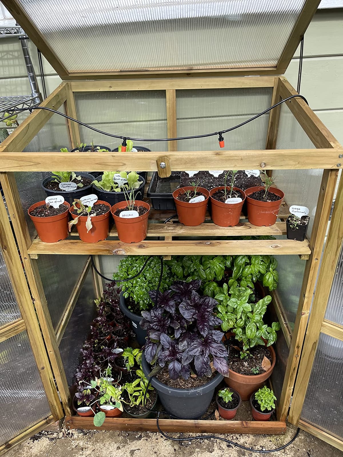 GIANTEX Wood Cold Frame with Flip-Top Roof, Mini Greenhouse 37''×25''×16'' customer photo 1