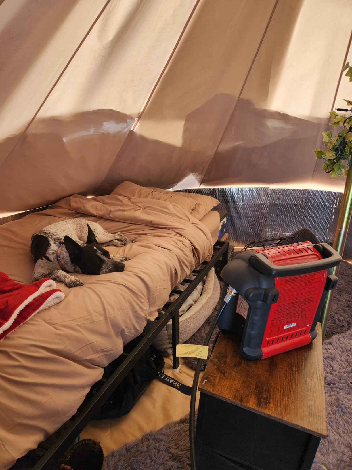 DANCHEL OUTDOOR B5PRO Canvas Bell Tent with Stove Jack 13ft/16.4ft/20ft customer photo 2