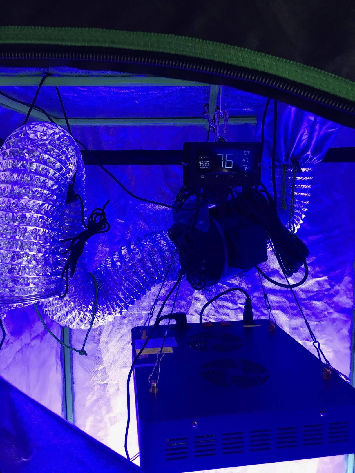 AC Infinity CLOUDLINE T4, Quiet 4” Inline Duct Fan w/Environment Controls customer photo 2