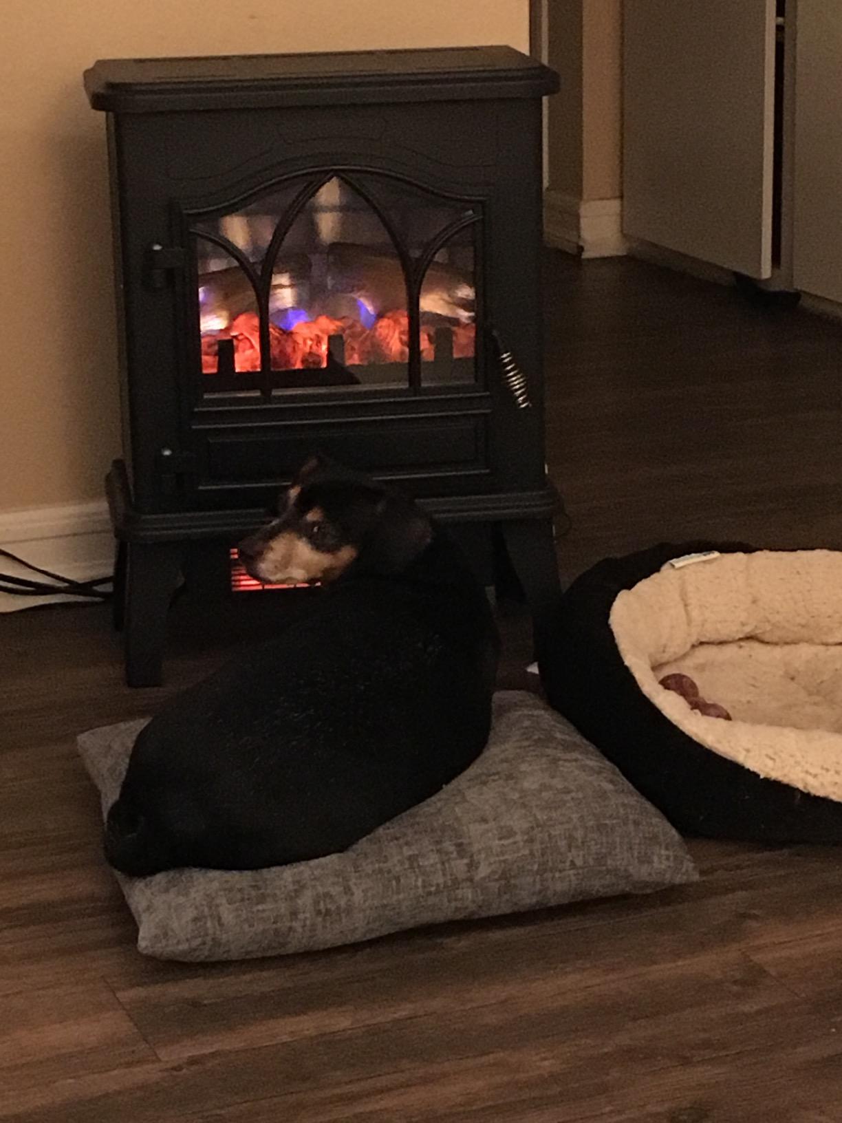 duraflame® 3D Infrared Quartz Electric Fireplace Stove Heater, Black customer photo 2