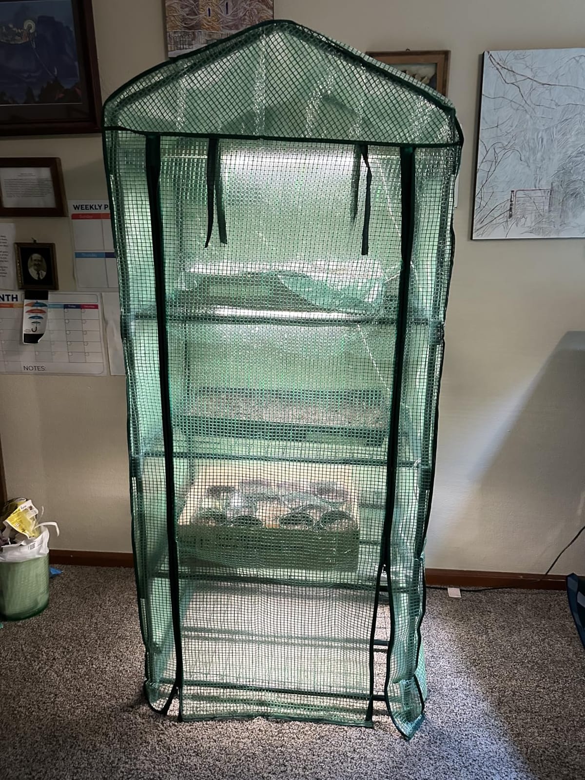 4 Tier Mini Greenhouse Indoor Outdoor with PE Cover and Roll-Up Zipper Door, Portable Waterproof Cloth Greenhouse Tent Grow Seeds & Seedlings, 2.3x1.5x5.3 FT customer photo 2
