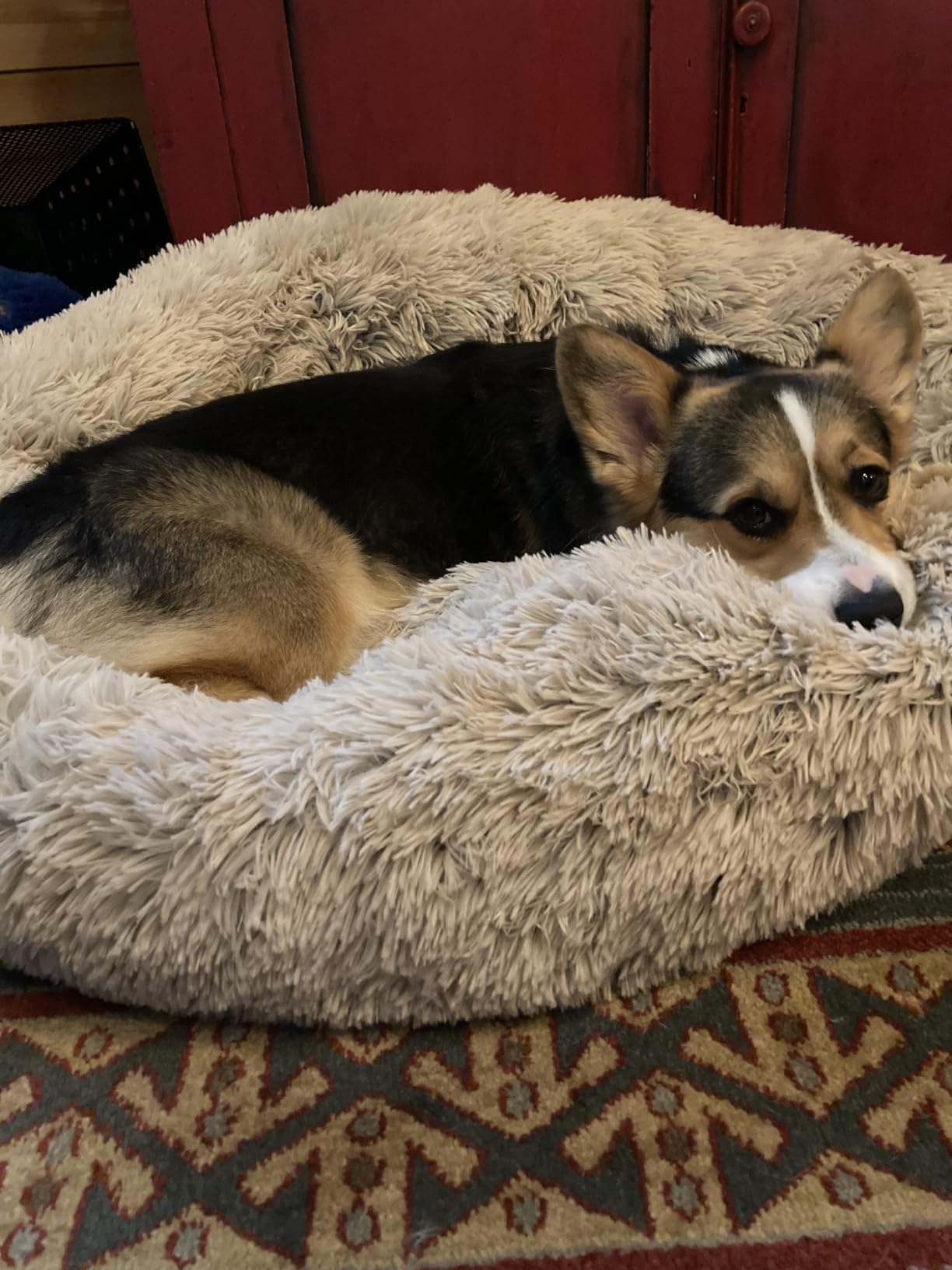 Best Friends by Sheri Original Calming Donut Dog Bed, Mink Dark Gray, 23