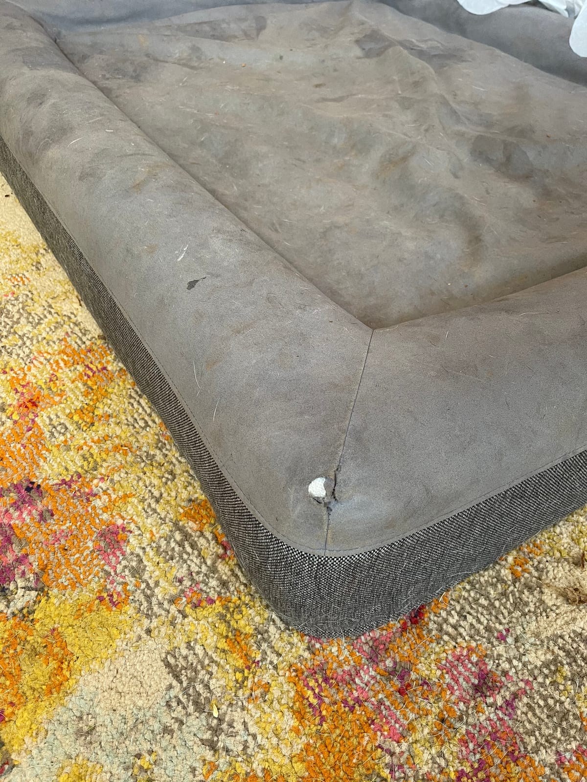 Casper Dog Bed, Plush Memory Foam, Medium, Gray, 25.0