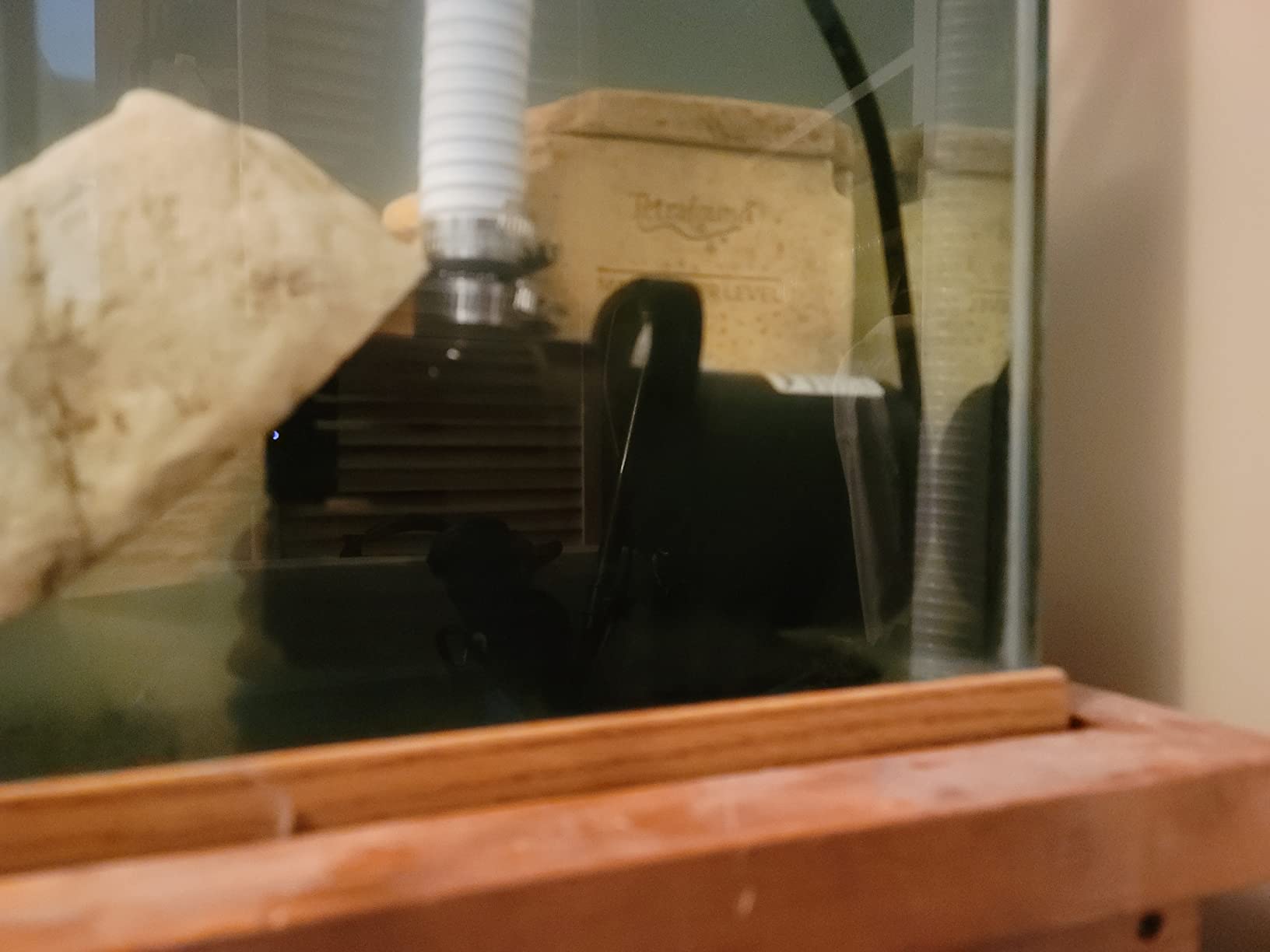 VIVOSUN 1600GPH Sub Water Pump for Pond Waterfall, Statuary, Hydroponics customer photo 1