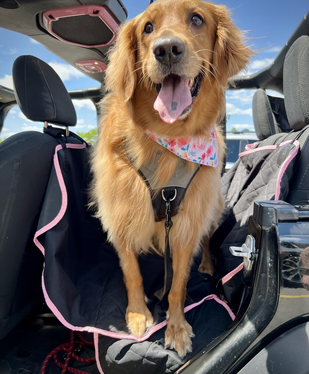 Active Pets Black Standard Dog Car Hammock Back Seat Cover, Waterproof Backseat Cover Protector for Truck Bench Rear of Sedans or SUVs, Essential Pet Supplies Vacuum or Wipe Clean, Machine Washable customer photo 1